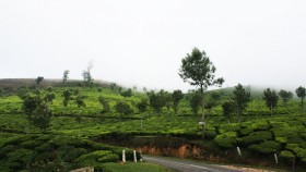 Munnar Hill View