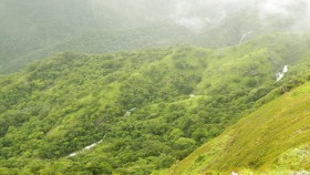 Thekkady hills