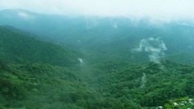 Misty thekkady hills