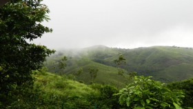 Thekkady Hills