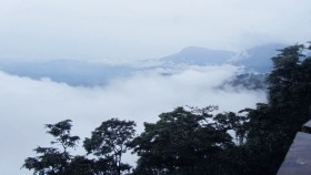 Misty  Wayanad 