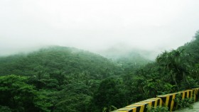 Wayanad Hills