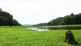 Landscape at Thattekkad Bird Sanctury