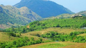 Kottathavalam in Vagamon 