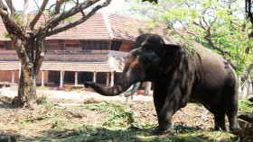 Guruvayoor Photos