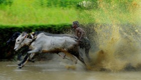 Race