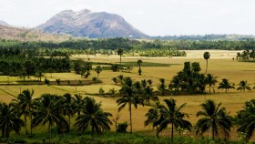 Landscape Palakkad