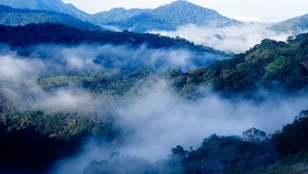 Silent valley national park