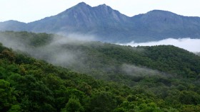 Silent valley national park