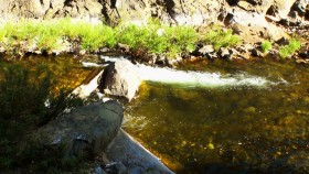 Silent valley national park