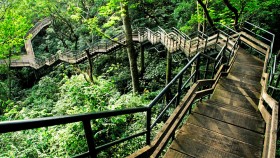 Thenmala eco tourism