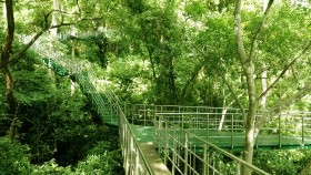 Hanging Bridge at Thenmala