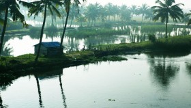 Kochi Backwaters