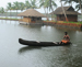 Kollam Backwater Package