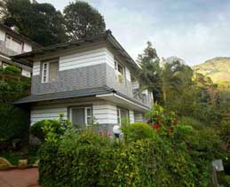 The New Whispering Meadows