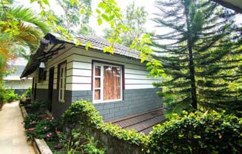 The New Whispering Meadows