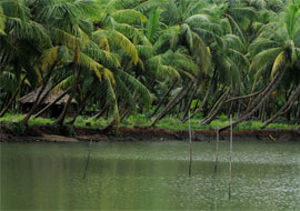 kerala backwaters destinations