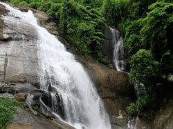 Thusharagiri Waterfalls