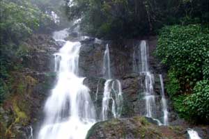 Murinjupuzha Water Falls