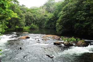 Dream World at Athirappilly, near Chalakkudy, Thrissur