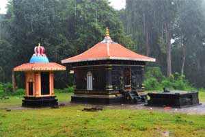 Forest temples visit