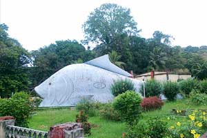 Aquarium & Snake Park in Malampuzha