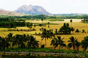 Gramam of Palakkad