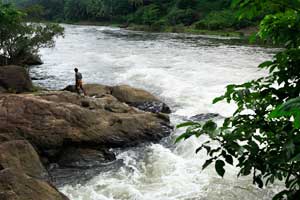 Peruthenaruvi Waterfalls Pathanamthitta 