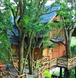 Bamboo Green Gates Treehouse wayanad