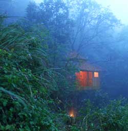 Vanya Treehouse Thekkady