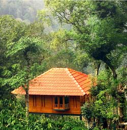 Marmalade Springs Treehouse wayanad